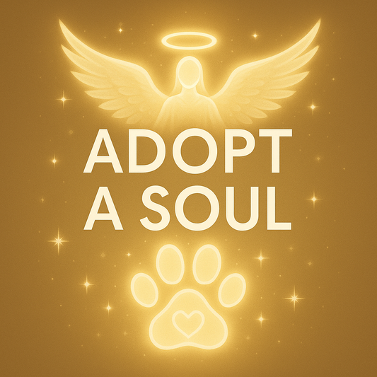 Adopt a Soul Donation